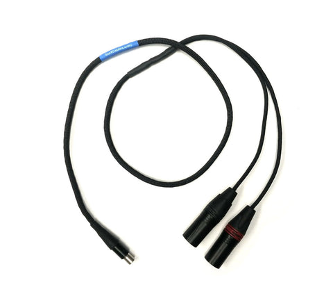 Astell & Kern Kann Cube type 5 Pin Mini XLR